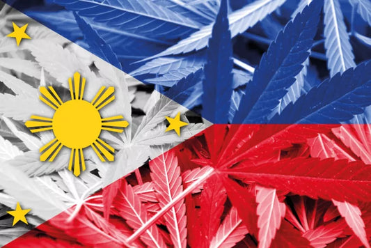 Filipinas Avanza en la Regulación del Cannabis Medicinal