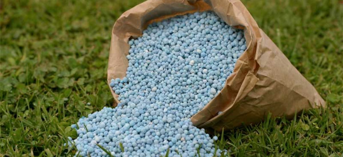 FERTILIZANTES