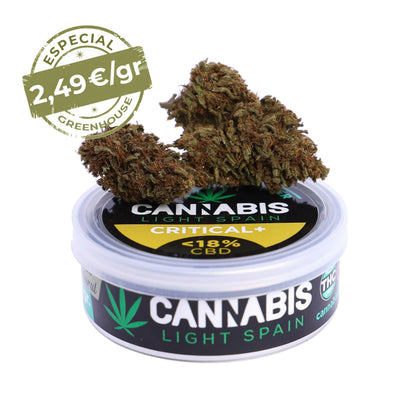 CANNABIS LIGHT SPAIN CBD Premium Critical +