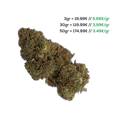 CANNABIS LIGHT SPAIN CBD Original Bomb Indoor