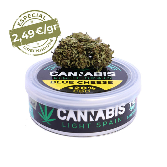 CANNABIS LIGHT SPAIN CBD Premium Blue Cheese