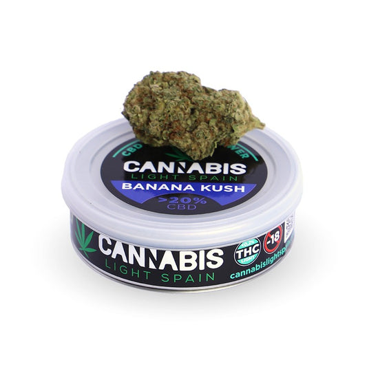 CANNABIS LIGHT SPAIN CBD Banana Kush Hidropónica Indoor